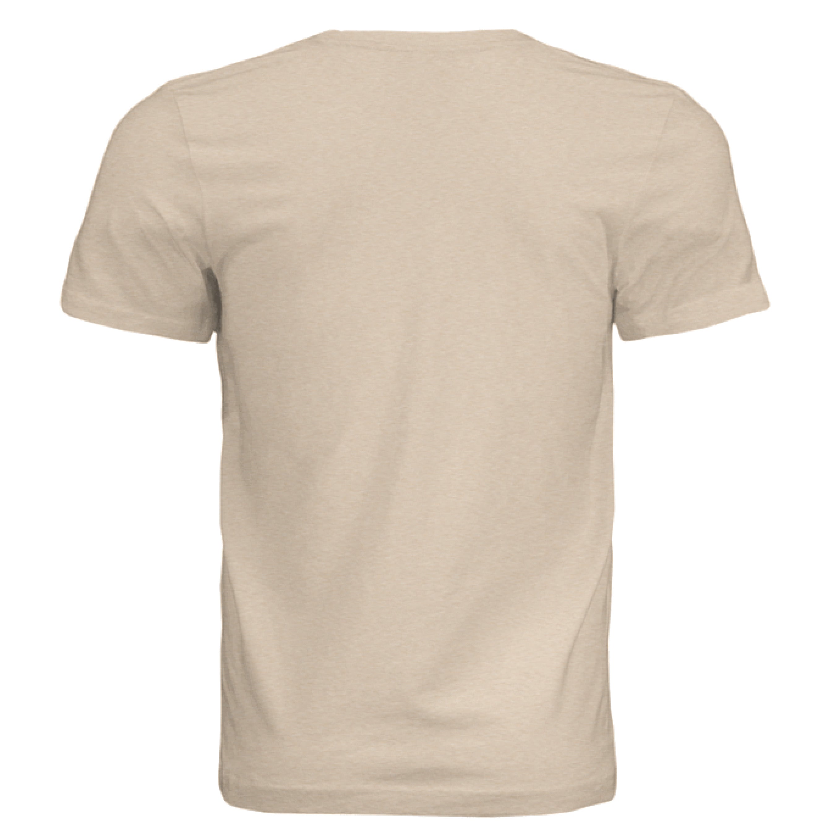Sand Dune Triblend - BACK