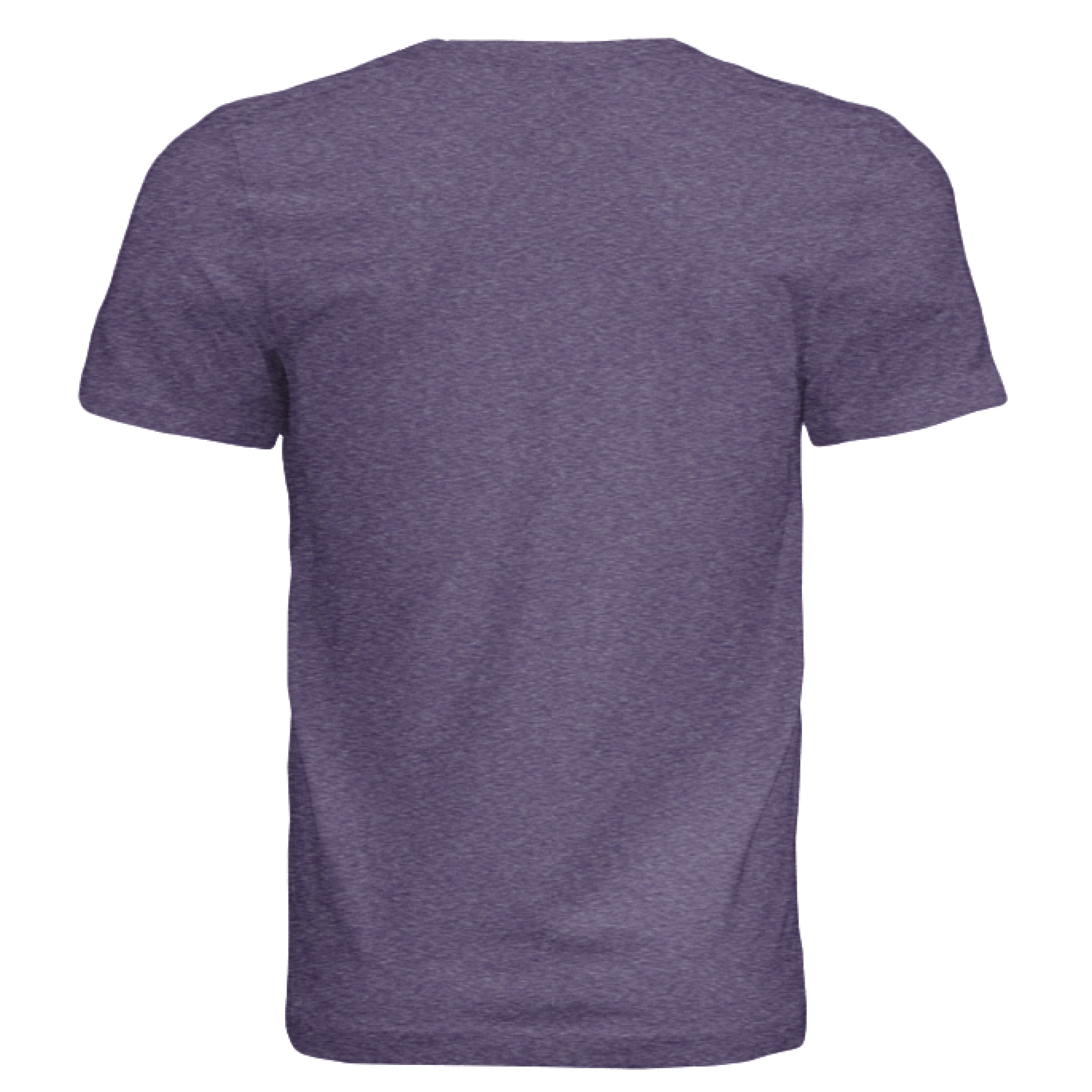 Solid Team Purple Triblend - BACK