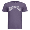 Solid Team Purple Triblend - FRONT