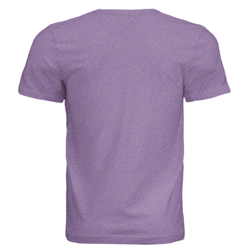 PURPLE TRIBLEND - 3413C - BACK